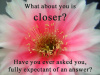 What is CLOSER?